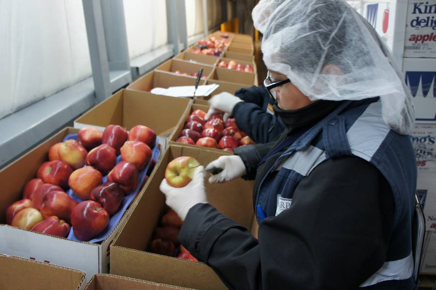 Declara el Gobierno de México el 1 de julio como Día Nacional de la Sanidad Vegetal