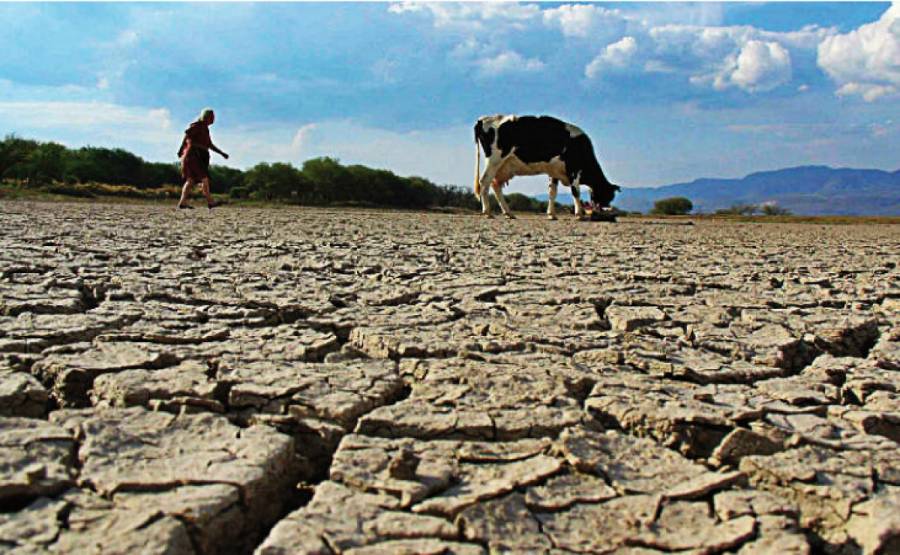 Urge PT atender sequía en el norte de México