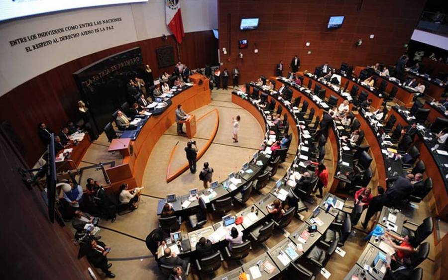 Legisladoras de Morena buscan presidir el Senado