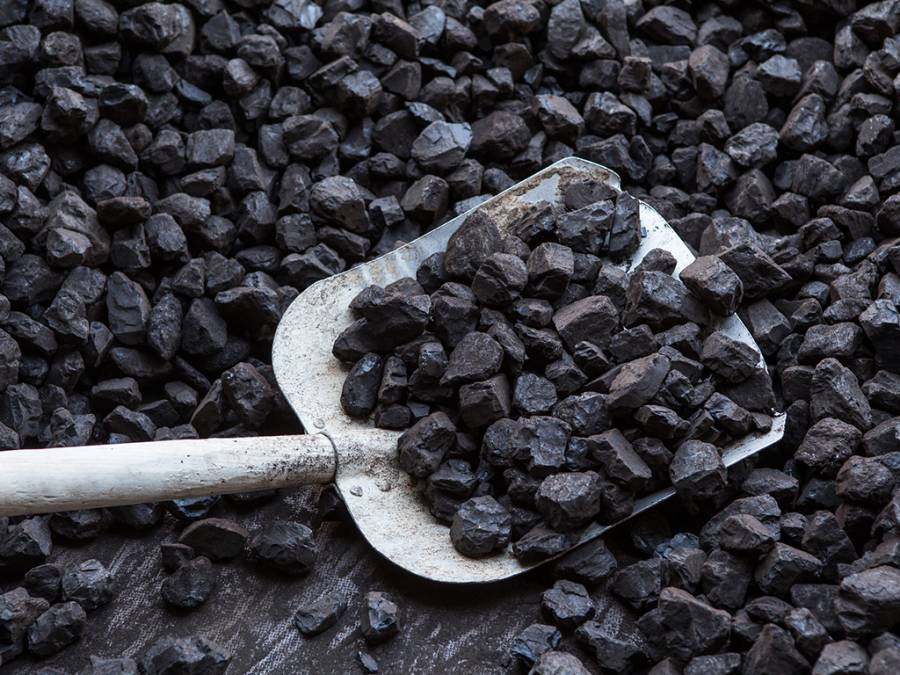 Estudia IPN desarrollo de biocombustible