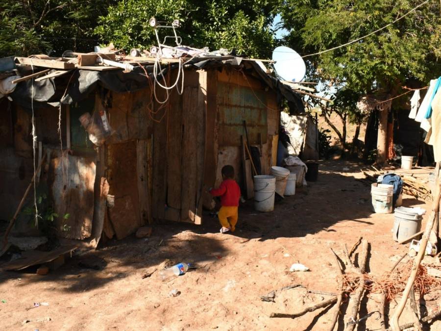 Erradicar pobreza y marginación en el campo dará estabilidad al país: Sader