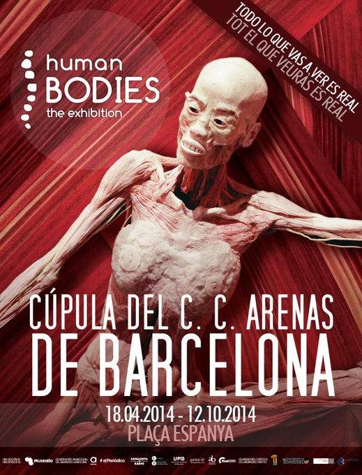 Esta exposición muestra cuerpos humanos reales