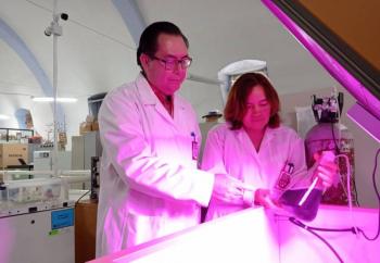 IPN estudia prote&iacute;nas de alga Spirulina para fortalecer el sistema inmune