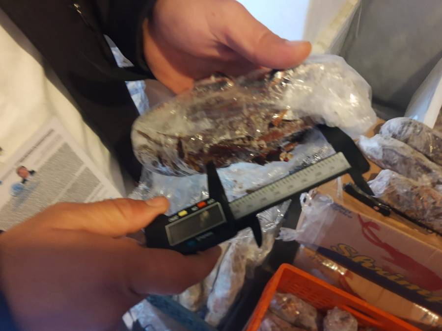 Policía de pesca retiene más de 179 mil piezas de producto marino: Conapesca