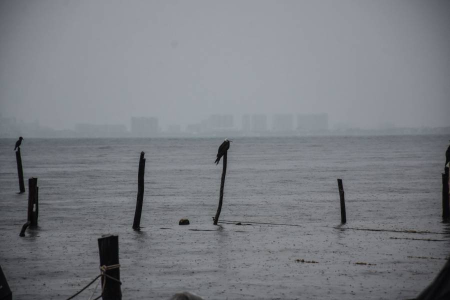 Autoridades cierran la navegación en Manzanillo por “Enrique”