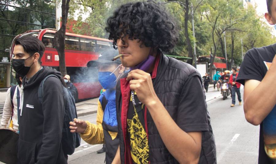 SCJN avala uso recreativo de la marihuana