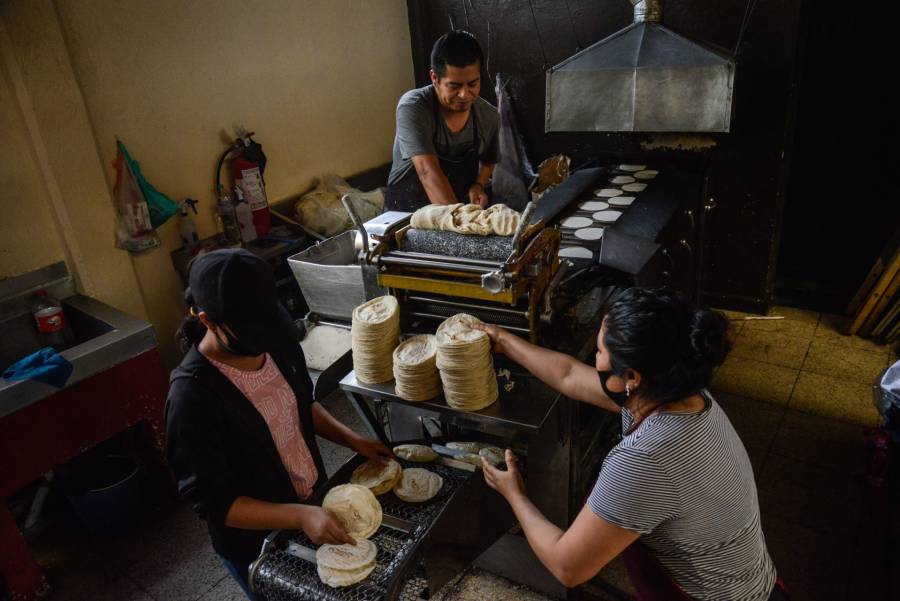 Puebla: En julio el kilo de tortillas aumentaría 30%