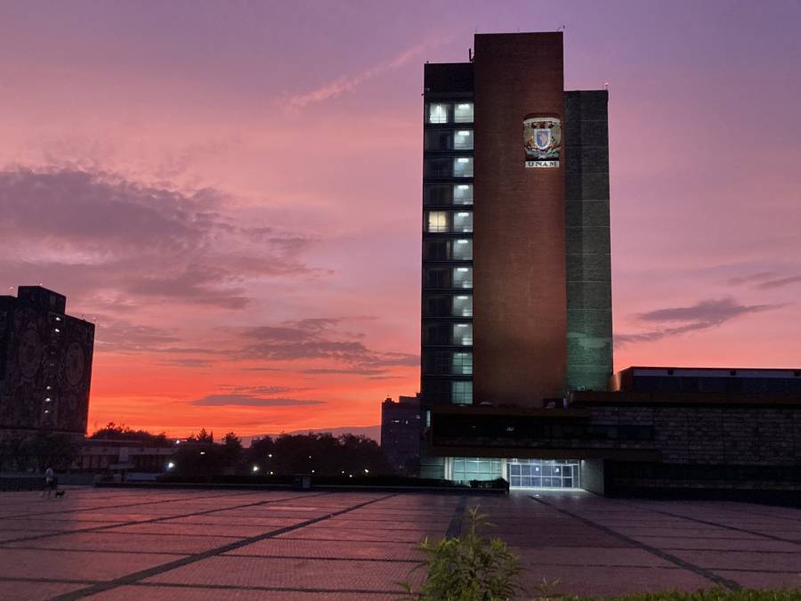 Se mantendrán clases a distancia: UNAM