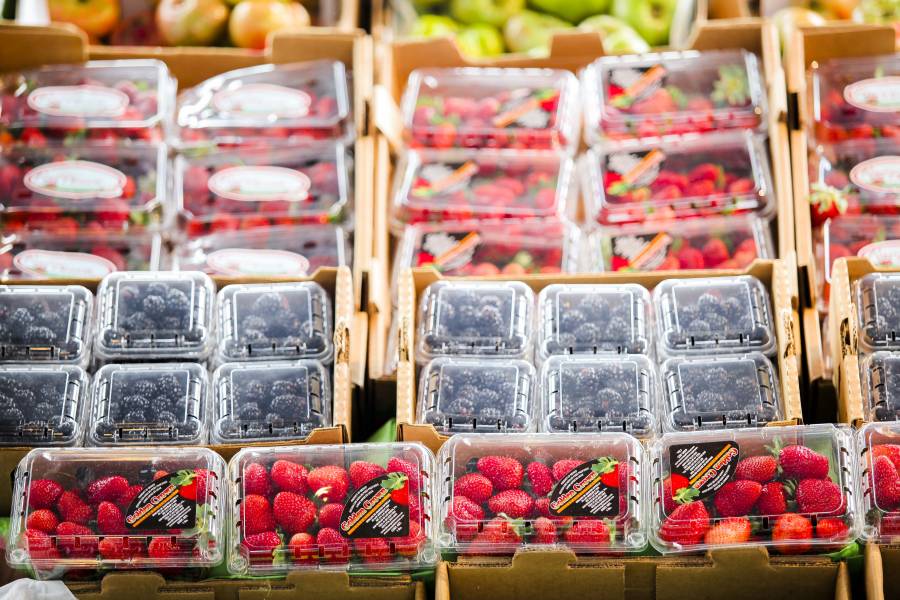 En 2020, comercializaci&oacute;n de frutillas deja 9 mil mdp en BC