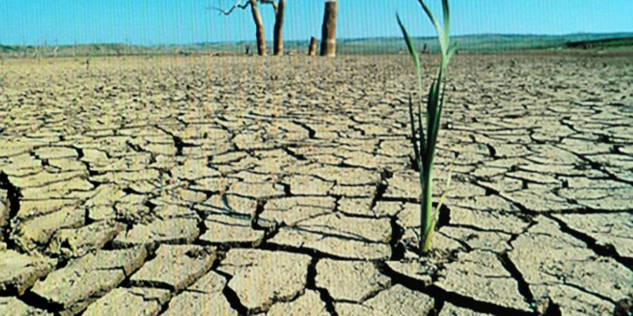 Desertificaci&oacute;n, reduce m&aacute;s de 12% producci&oacute;n de alimentos en M&eacute;xico: Investigadores