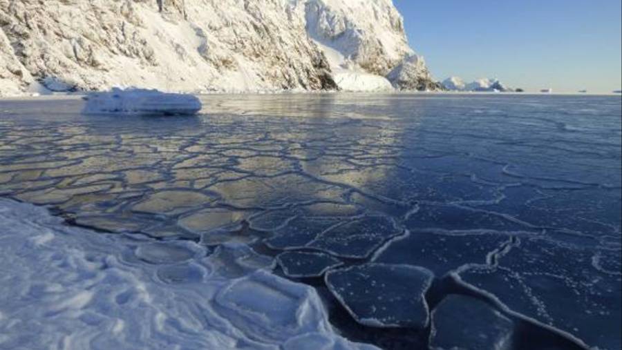 ¡Hierve la Antártida!, registra 18.3 grados de temperatura