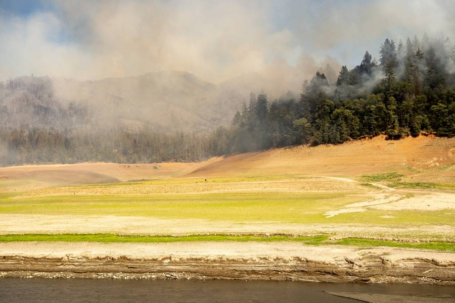 Ola de calor en Canadá y EEUU provoca decesos e incendios