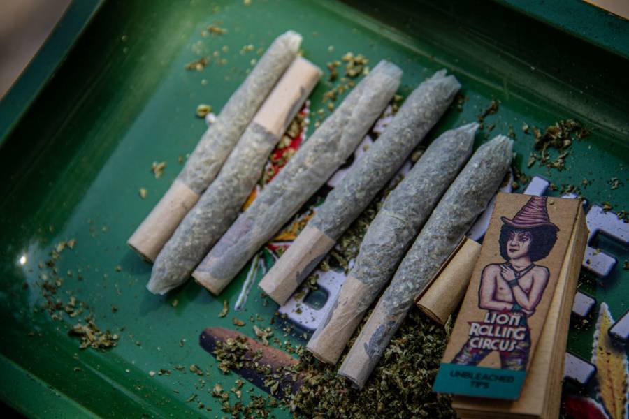 INAI pide a Cofepris difundir normas vigentes sobre uso de la cannabis