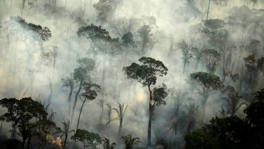 Dióxido de carbono es más peligroso para la Amazonia que la deforestación: investigación