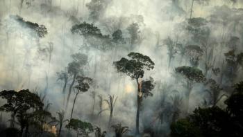Di&oacute;xido de carbono es m&aacute;s peligroso para la Amazonia que la deforestaci&oacute;n: investigaci&oacute;n
