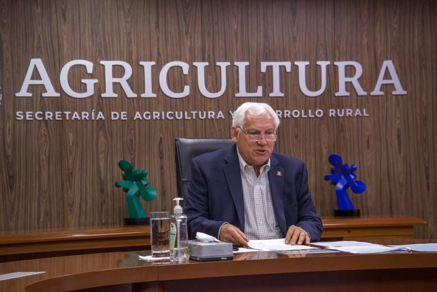 Cooperación México-Francia amplía oportunidades a productores de pequeña escala: Agricultura