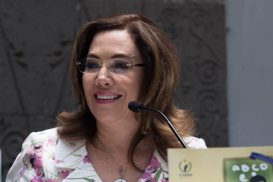 Indispensable monitorear impartici&oacute;n de justicia en M&eacute;xico: Blanca Ibarra
