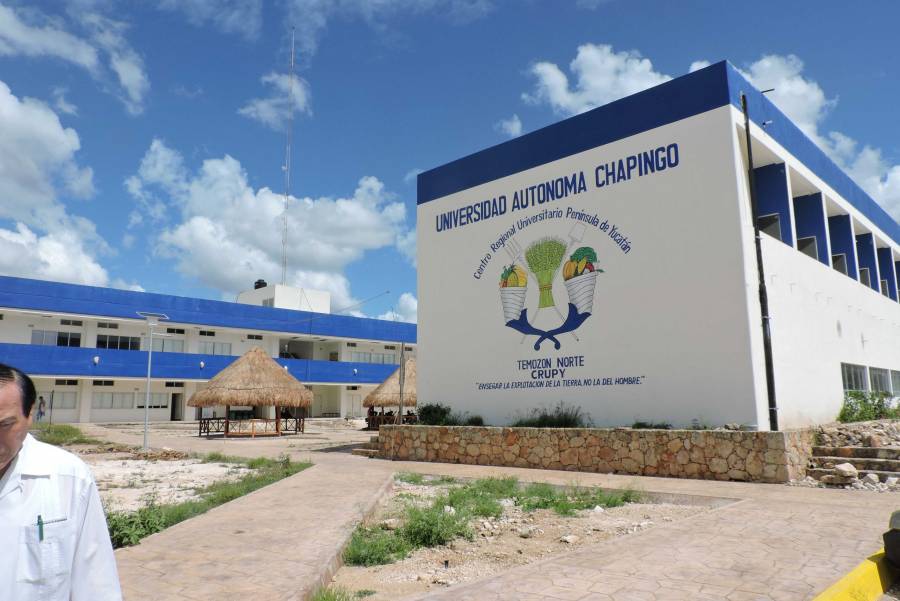 Piden al Senado frenar la venta de terrenos del Centro Universitario de Yucatán