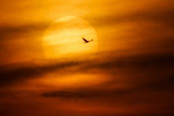 Alerta la Nasa de “apag&oacute;n” por llamarada solar