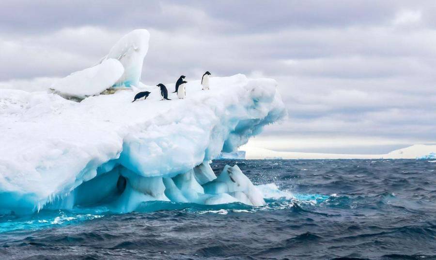 Reconocen oficialmente a Austral, nuevo océano en la Tierra