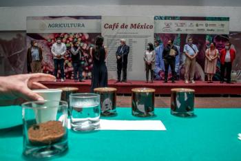 A nivel internacional, reconocen calidad y altos estándares del café mexicano