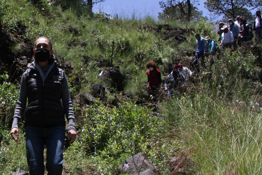 CDMX invertirá mil mdp en áreas naturales protegidas