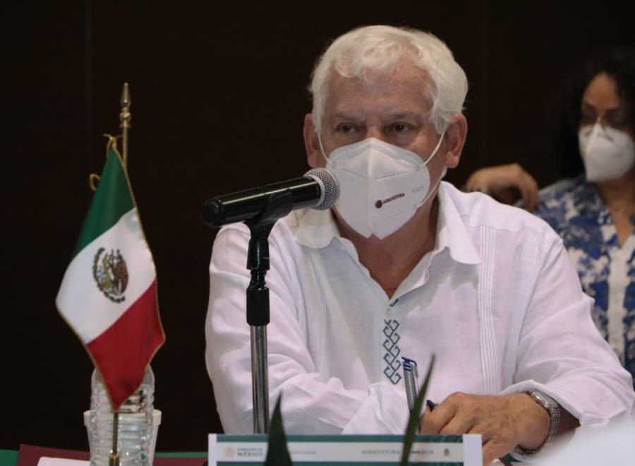Participará México en Pre-Cumbre de Sistemas Alimentarios 2021