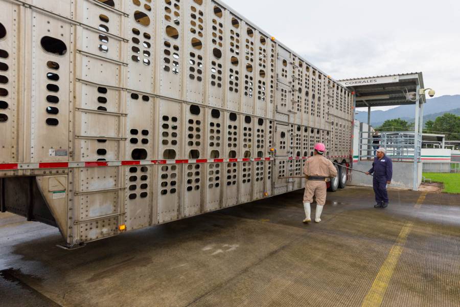 Reforzarán Agricultura y Guanajuato, acciones de verificación e inspección de mercancías agroalimentarias