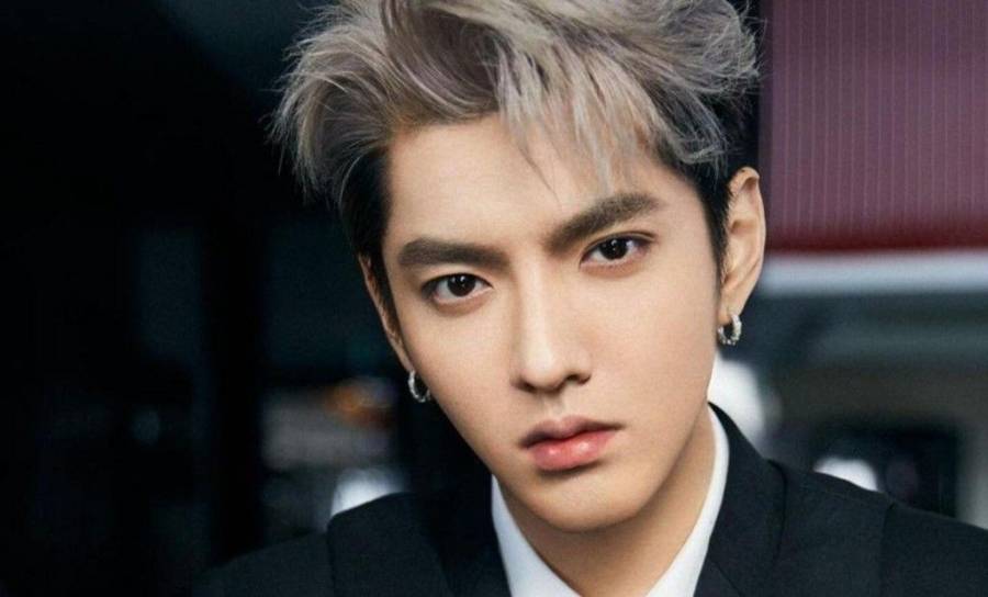 Kris Wu, cantante de pop canadiense, fue detenido por presunta violación