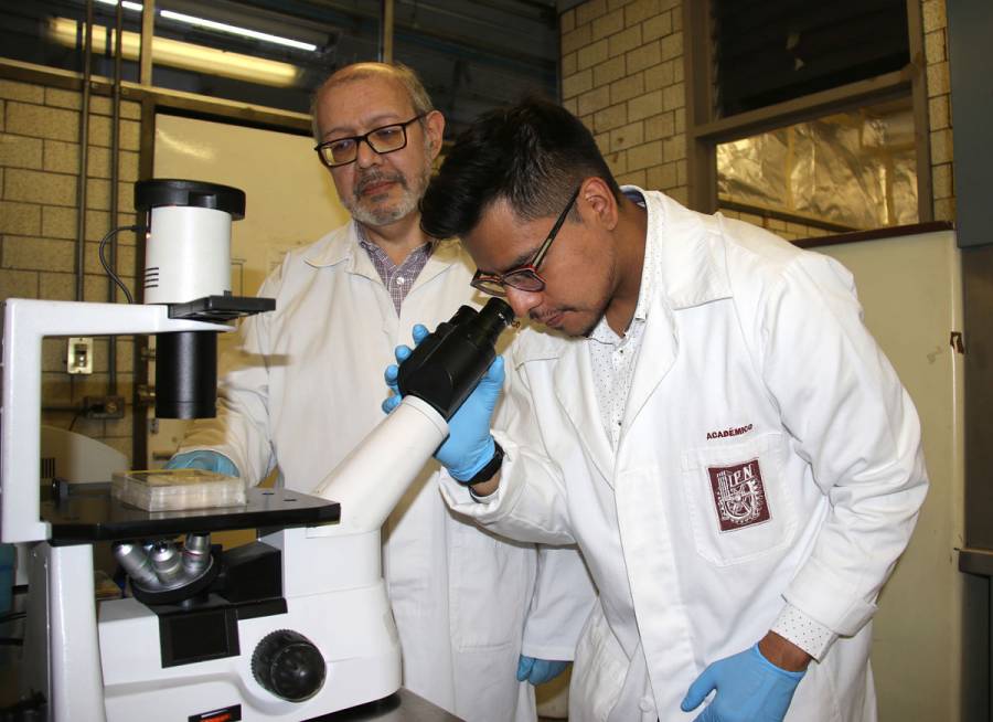 IPN descubre biomarcador para posible detección temprana de cáncer de mama triple negativo