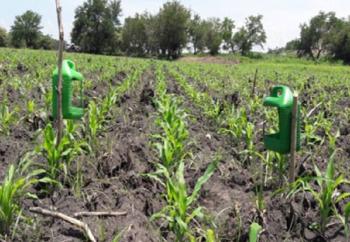 Investigadores del IPN proponen manejo agroecol&oacute;gico de plagas