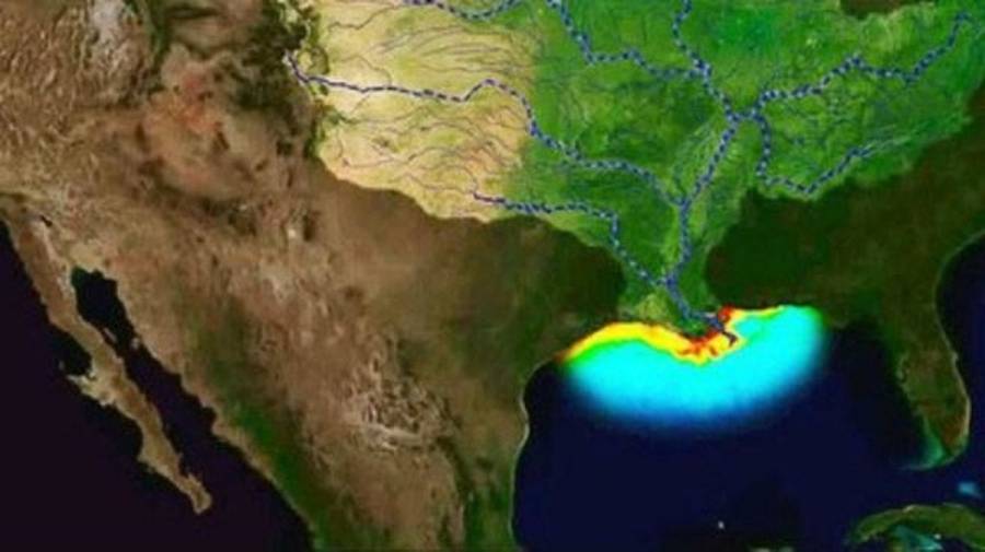 Preocupa expansión de zona muerta del Golfo de México