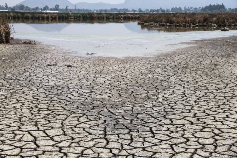 Declara Conagua emergencia por sequía en México