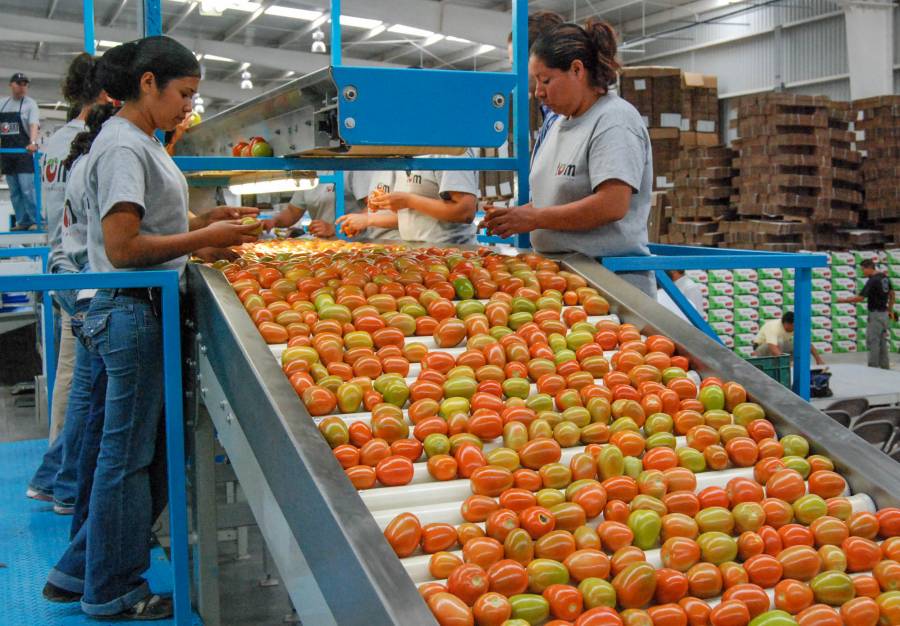 Balanza comercial agroalimentaria presenta superávit en primer semestre de 2021