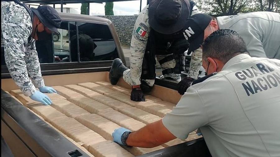Guardia Nacional impide en Nuevo León comercialización de 400 kilos de marihuana