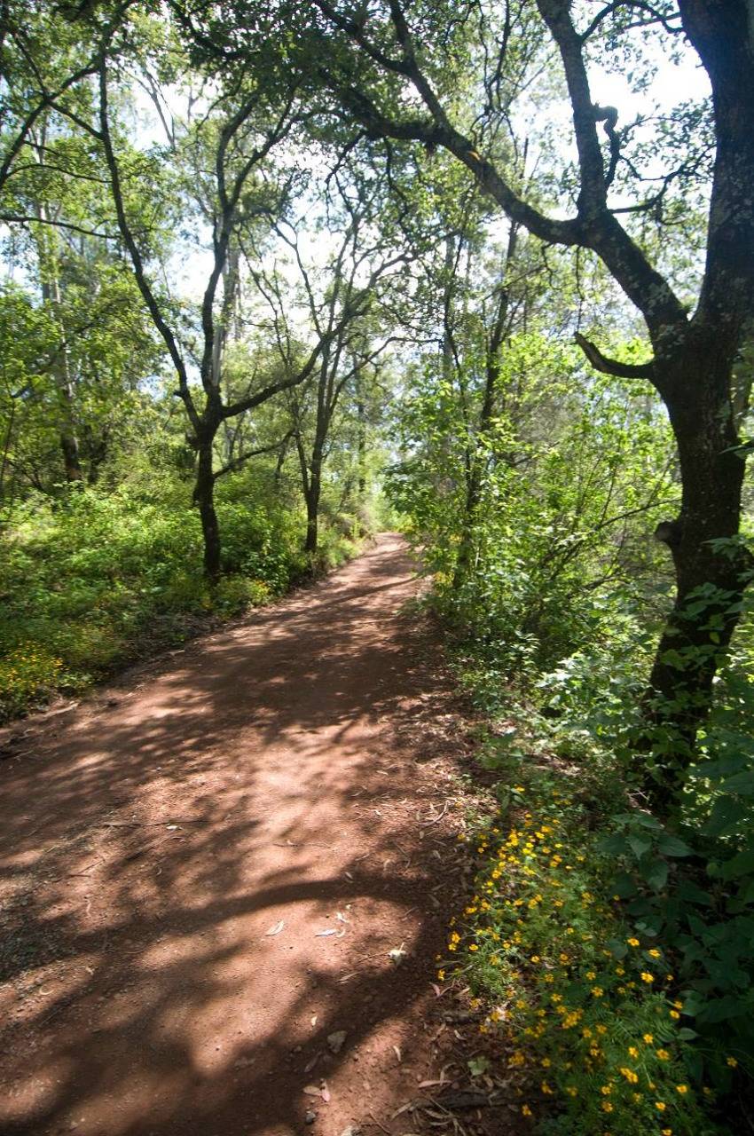 En Puebla, Flor del Bosque será una zona natural protegida