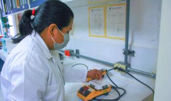 Colpos estudia riqueza floral en producci&oacute;n de miel en Campeche