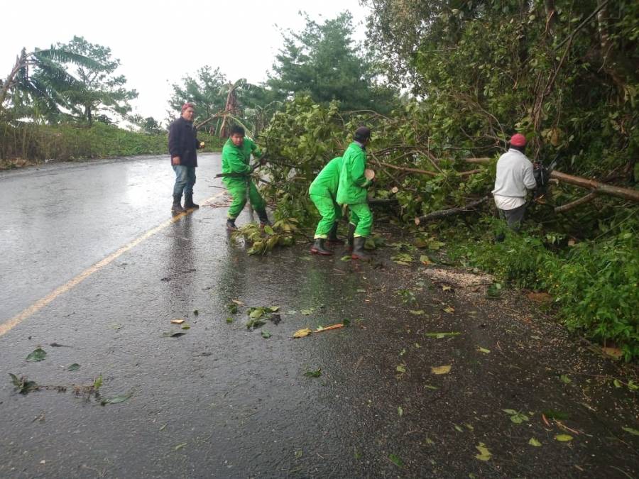 SCT empieza a reparar daños en carreteras afectadas por “Grace”