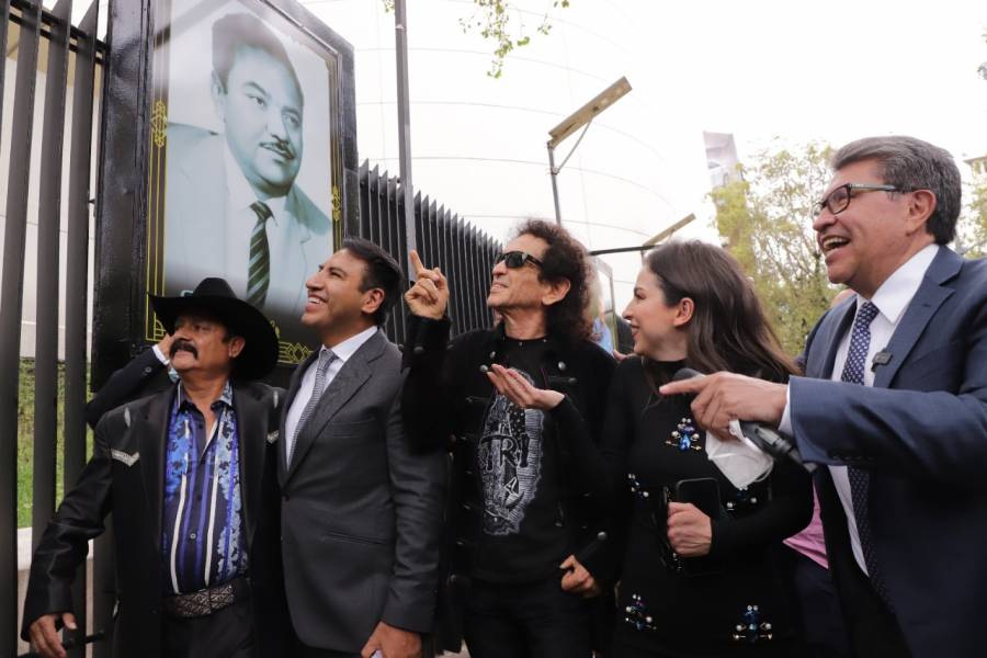 “¡Que viva el rock and roll!” resonó en la tribuna del Senado