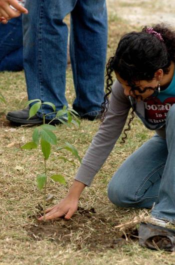 Regreso a la escuela con un &aacute;rbol, un proyecto que marcar&aacute; el Ciclo Escolar 2021-2022