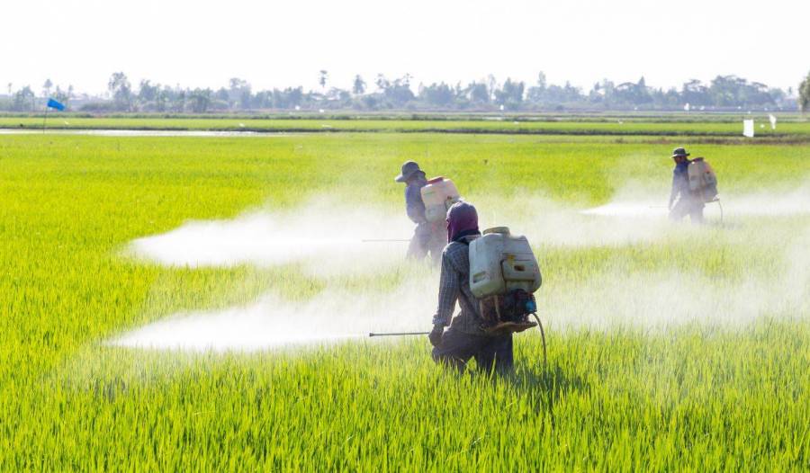 INAI ordena a Semarnat informar sobre importación de glifosato