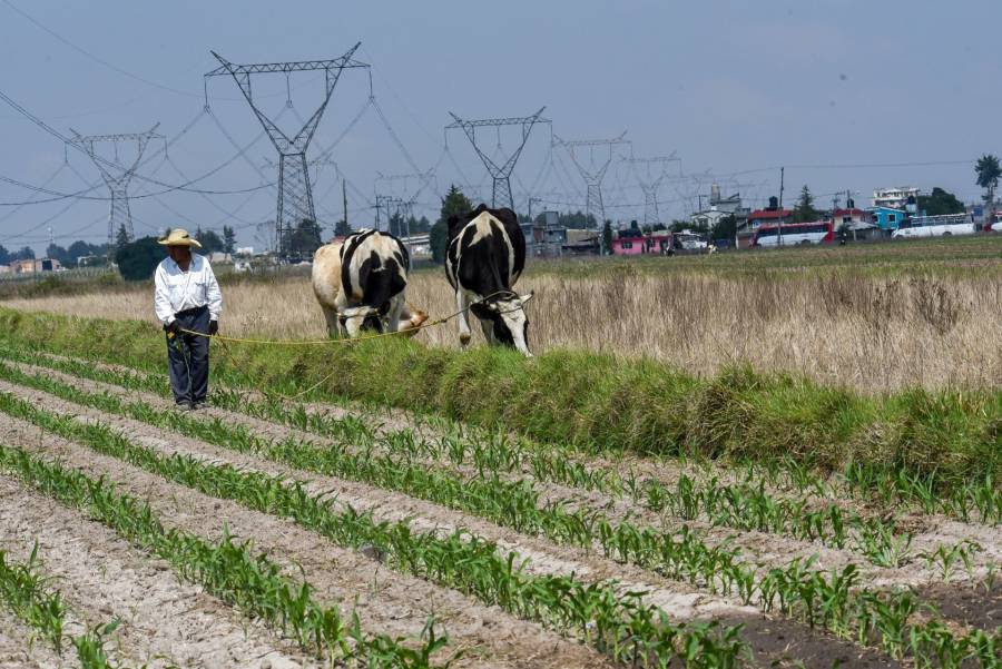 CNA exige más recursos para el campo en presupuesto 2022