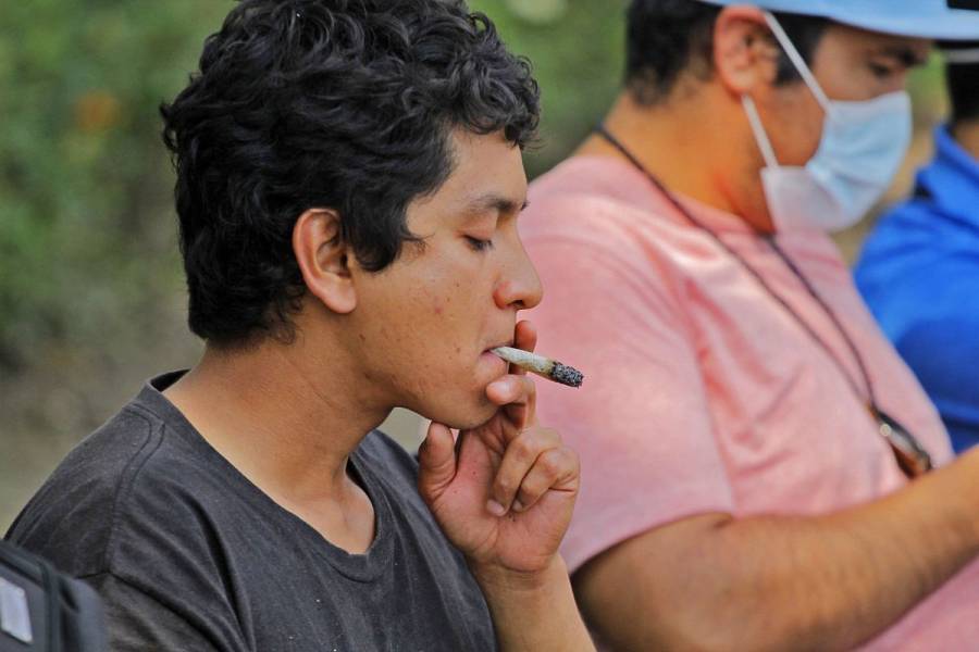 ¿Cuál es el panorama del consumo de drogas en México a raíz de la pandemia?