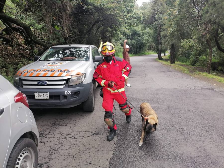 Tras deslave en refugio, cinco perros pierden la vida en Xochimilco