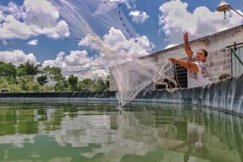 Apoyo a productores de peque&ntilde;a y mediana escala, factor para fomentar al sector agroalimentario en contexto de pandemia: Agricultura