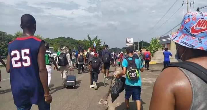 En 8 meses, INM recupera 46 cuerpos de migrantes