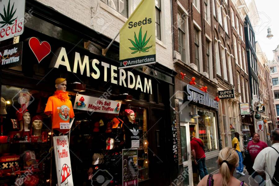 B&eacute;lgica y Holanda son los grandes centros de tr&aacute;fico de coca&iacute;na en Europa