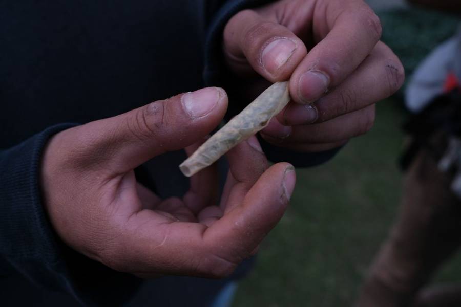 Adicción al cannabis podría ser factor de riesgo para contraer Covid-19