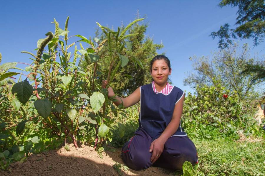 Producción para el Bienestar reporta avance del 94% en entrega de apoyos al cierre de agosto