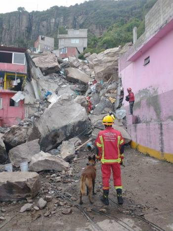 Rescatistas y binomios caninos de la UNAM apoyan tras el derrumbe en el cerro del Chiquihuite